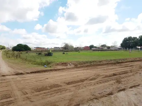 Olmos y Lóipez Calvetti 700