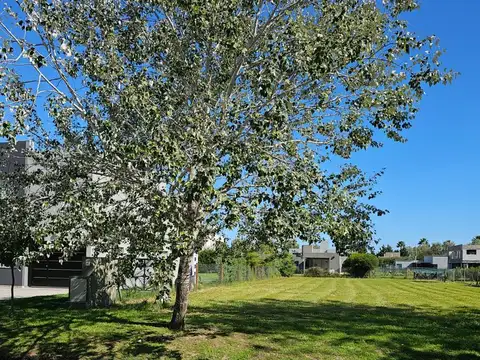 Terreno en Venta 46  mts Fondo