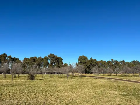 Terreno en Venta 28  mts Frente