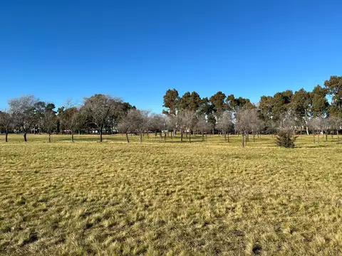 Terreno en Venta 12  mts Fondo