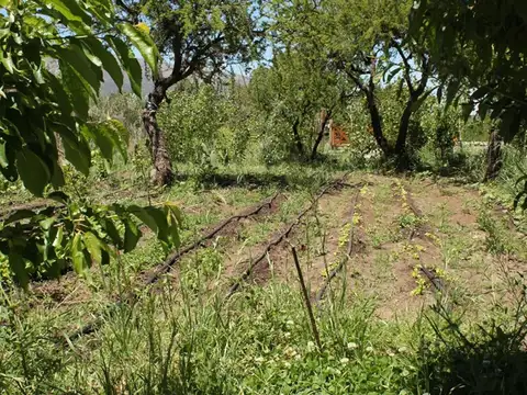 TERRENOS