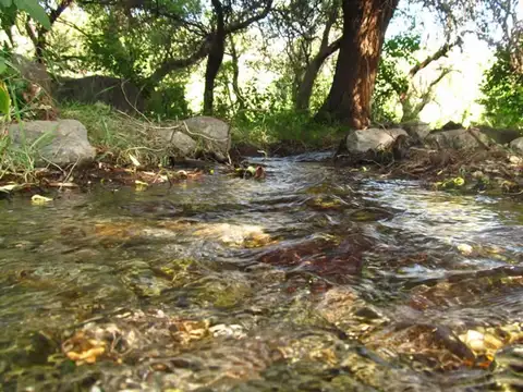 Cerro Oro