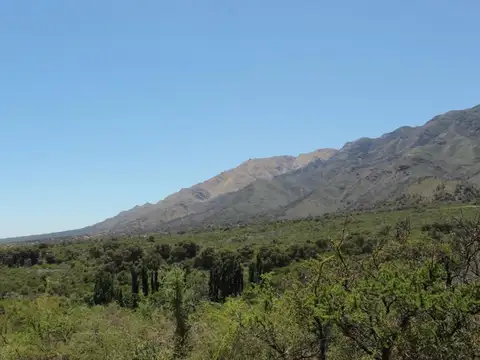 MUY BUEN