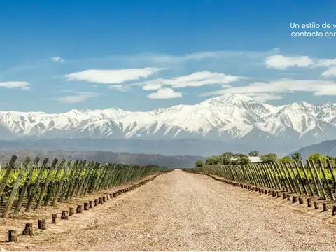 Lote en Venta Chacras de Coria - Parque isla en Proyecto Qvattro Viamonte - Mendoza