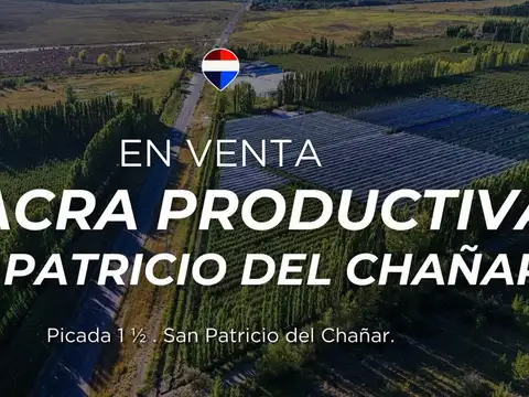 CHACRA PRODUCTIVA DE 19 HECTAREAS - FRENTE DE RUTA