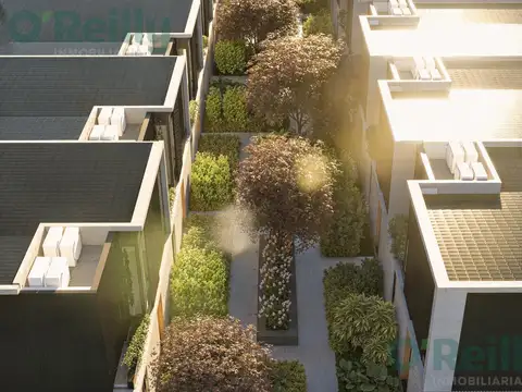 Proyecto de pozo. Casa en venta Ovejitas 3. Prilidiano Pueyrredon 900. Martinez