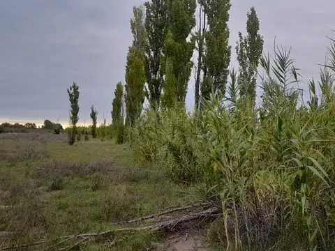 Terreno en Venta en Bowen, USD 35.000