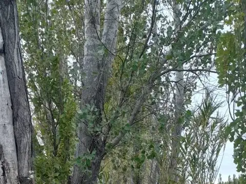 Terreno en Venta de 125000,0 m2