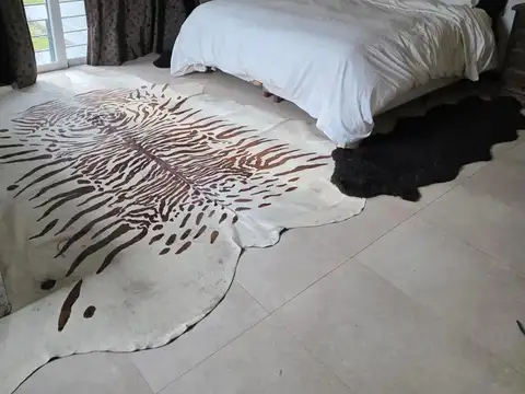 Casa en Alquiler de 4 dormitorios