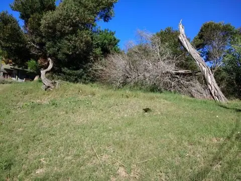 Terreno - Venta - Argentina, Las Gaviotas