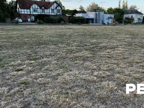 Haras San Pablo 240