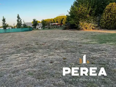 Haras San Pablo 240
