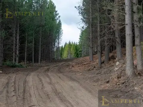 Terreno en Venta de 805,0 m2