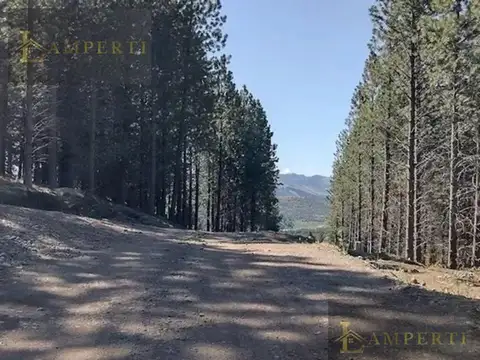 Terreno en Venta en San Martin de los Andes, USD 35.506