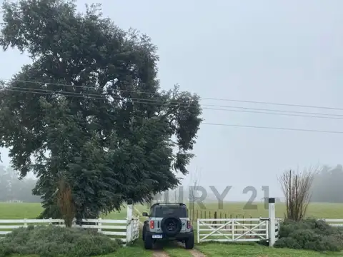 VENTA CAMPO 10 HECTAREAS SIERRA DE LOS PADRES ESCUCHO OFERTA RAZONABLE