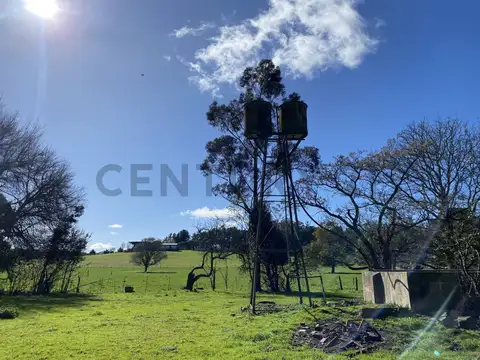 VENTA CAMPO 10 HECTAREAS SIERRA DE LOS PADRES ESCUCHO OFERTA RAZONABLE