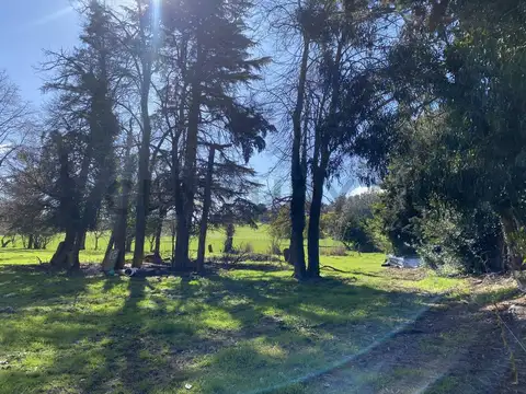VENTA CAMPO 10 HECTAREAS SIERRA DE LOS PADRES ESCUCHO OFERTA RAZONABLE
