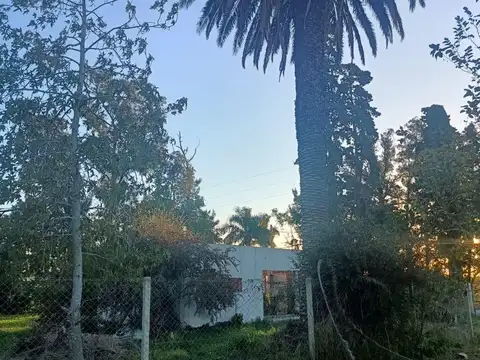 122 611 y 612 100