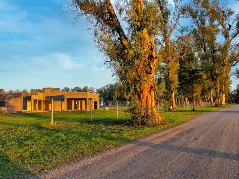Terreno en Venta en Los Tres Pinos, USD 10.000