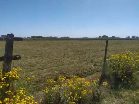 Campo - Venta - Argentina, Saladillo