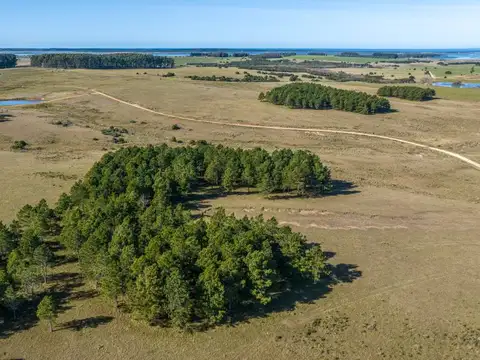 Lote de 11 has. en Altos de Jose Ignacio 100