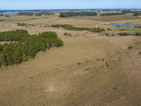 Terreno en Venta en Maldonado, USD 1.100.000