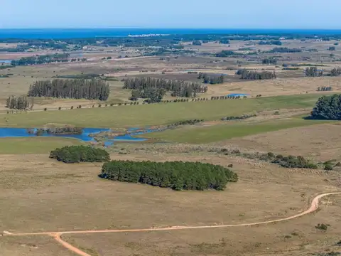 Lote de 11 has. en Altos de Jose Ignacio 100