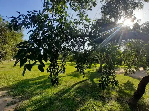 Terreno en Venta en Colonia Benitez, USD 12.000