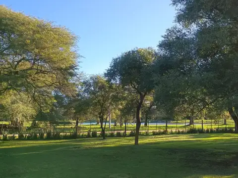 Calle Pública S/N 1