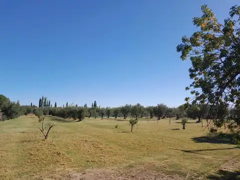 Terreno en Venta en Lunlunta, USD 300.000