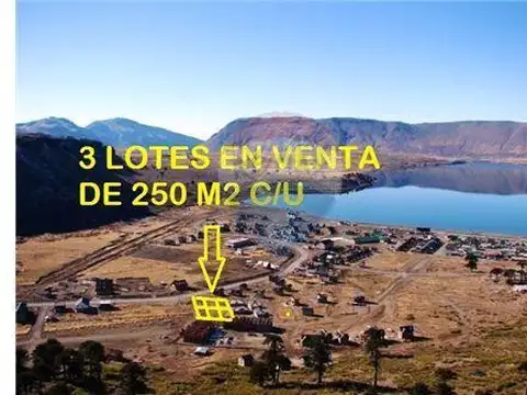 El palenque 100