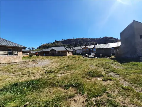 El palenque 100