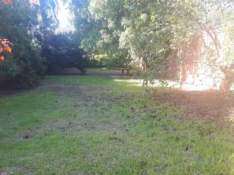 Terreno en Venta 30  mts Fondo