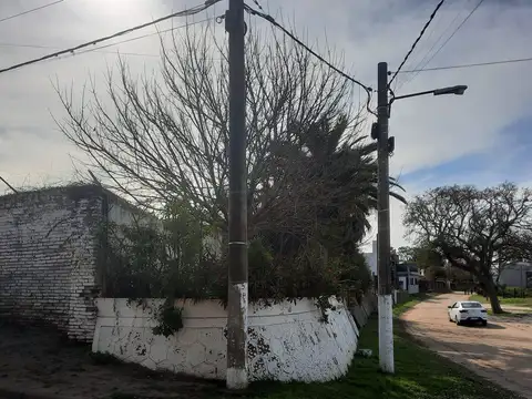 Dr. Hector Lopez 1400