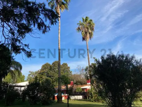 Benavente 3100, Piso 0