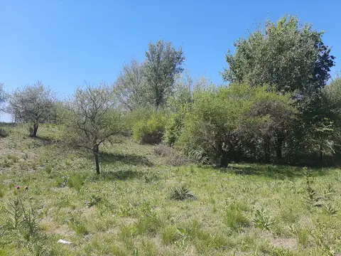 Terreno en Venta 32  mts Fondo