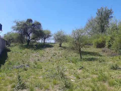 Terreno en Venta de 651,0 m2