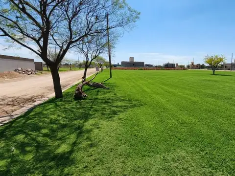 VENDE LOTE EN ALTOS DE LA COLONIA