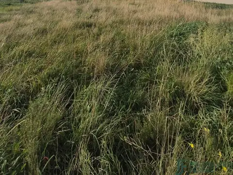 Terreno / Lote en venta de 403m2 ubicado en San Ignacio