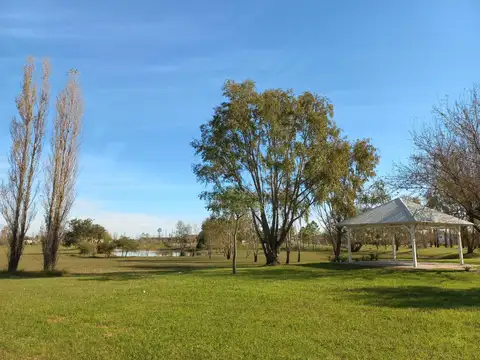 Terreno en Venta de 555,0 m2