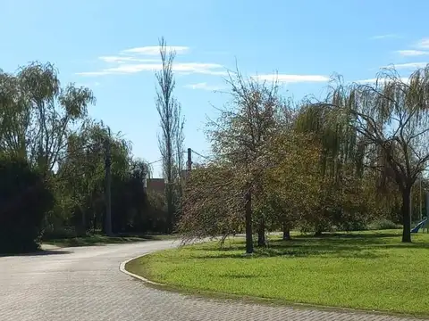las tardes norte y solaz