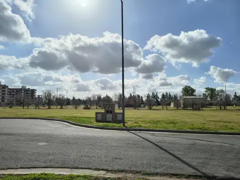 Picaflor "Los Pasos del Jockey"