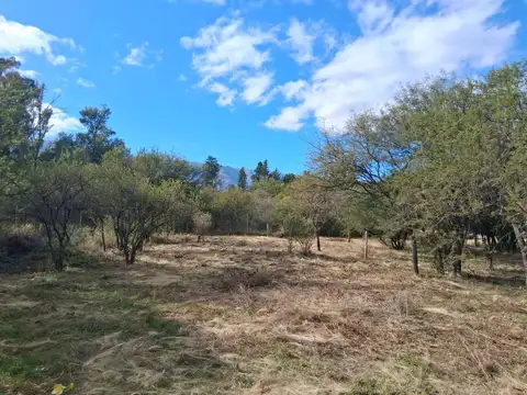Terreno en Venta 41  mts Frente