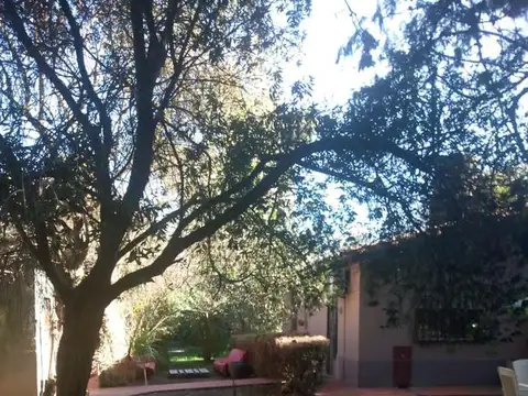 Gral. Lavalle 56