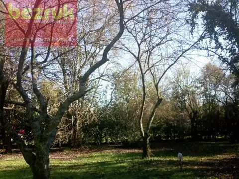 Gral. Lavalle 56