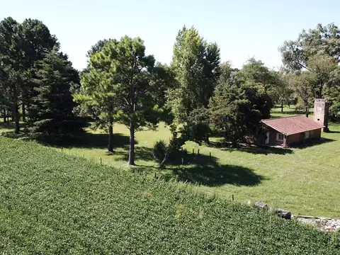 60 Has. Haras en Parada Robles