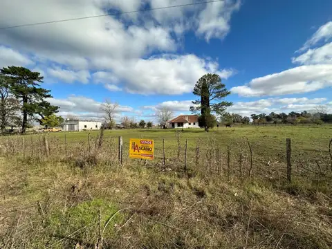 Coronel Quesada 4100