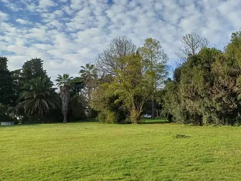 Lote. 487 entre 137 y 138. Escritura. Quintas de Marquez