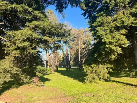 Lote. 487 entre 137 y 138. Escritura. Quintas de Marquez