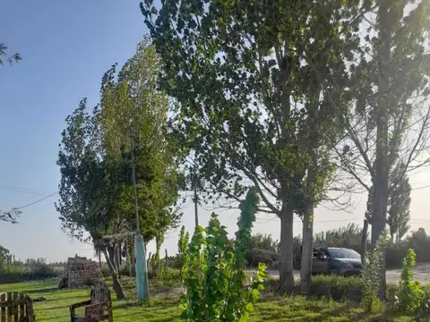 Los arrayanes , Piso 0
